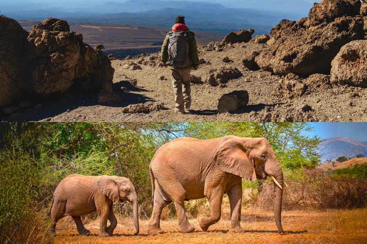 Mount Kilimanjaro climb and safari with elephants in Tanzania