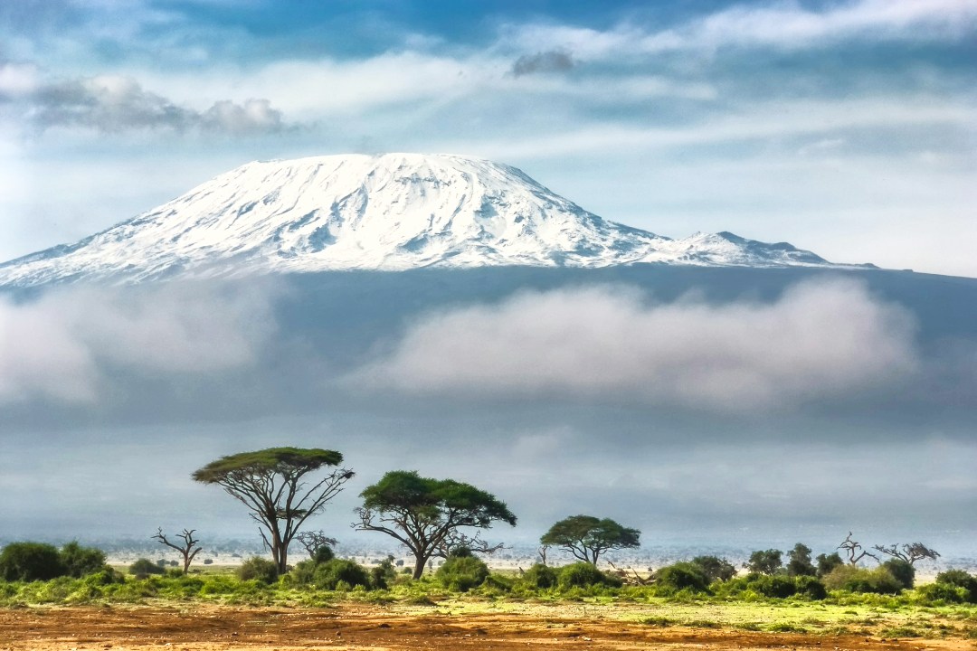 View of the African savanna with mount Kilimanjaro in the background