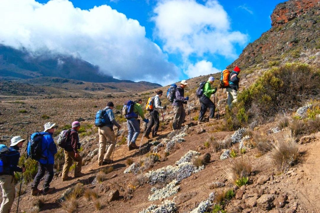 Climbers climbing mount Kilimanjaro via the Machame Route