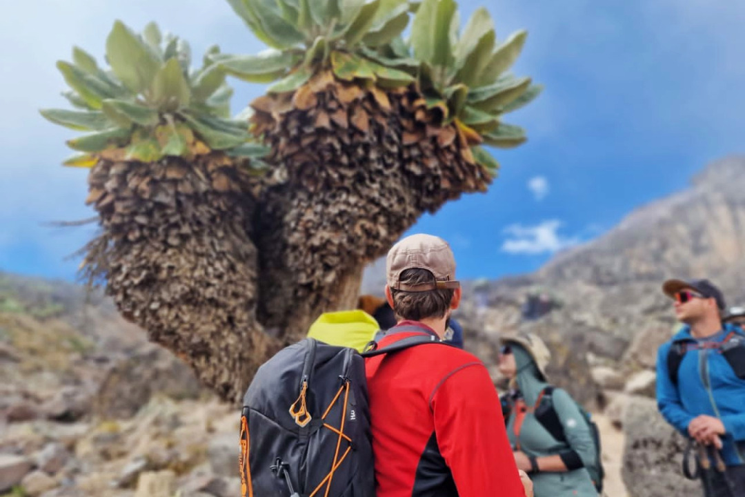 People hiking up mount Kilimanjaro via the Machame Route