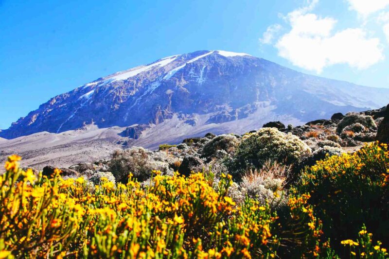 product-lemosho-kili-top