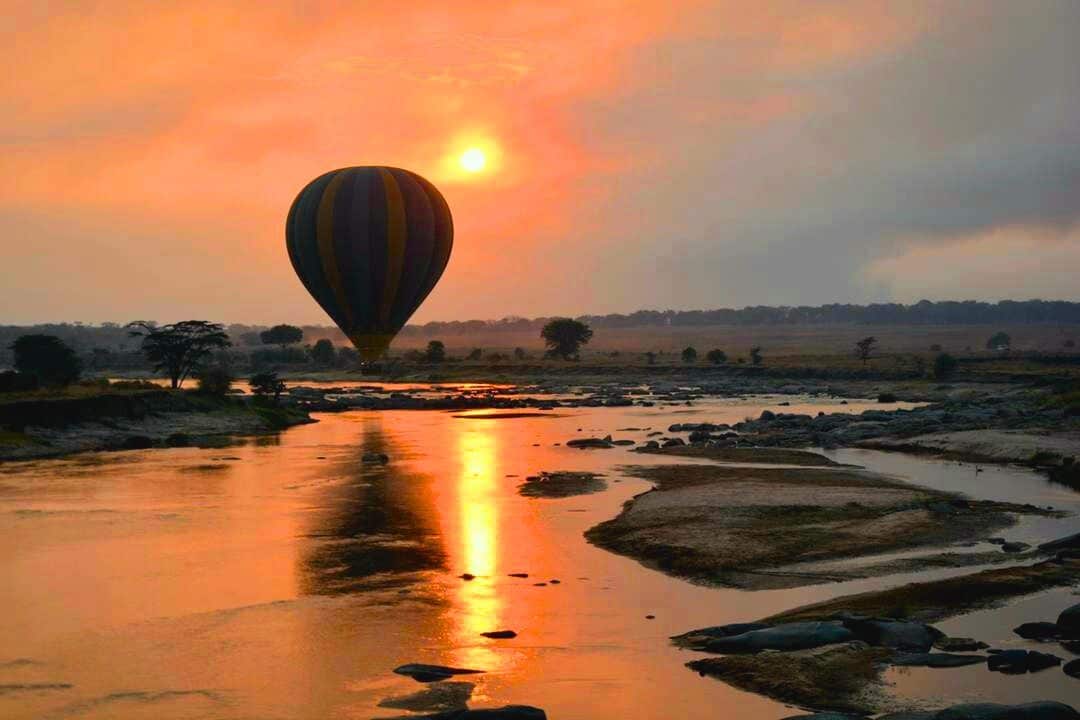 African Spoonbill, Queen Elizabeth National Park