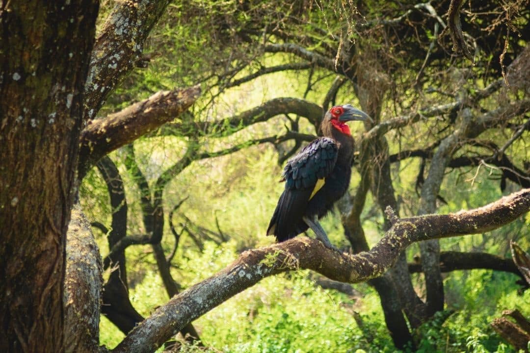 Diani Beach with World Adventure Tours