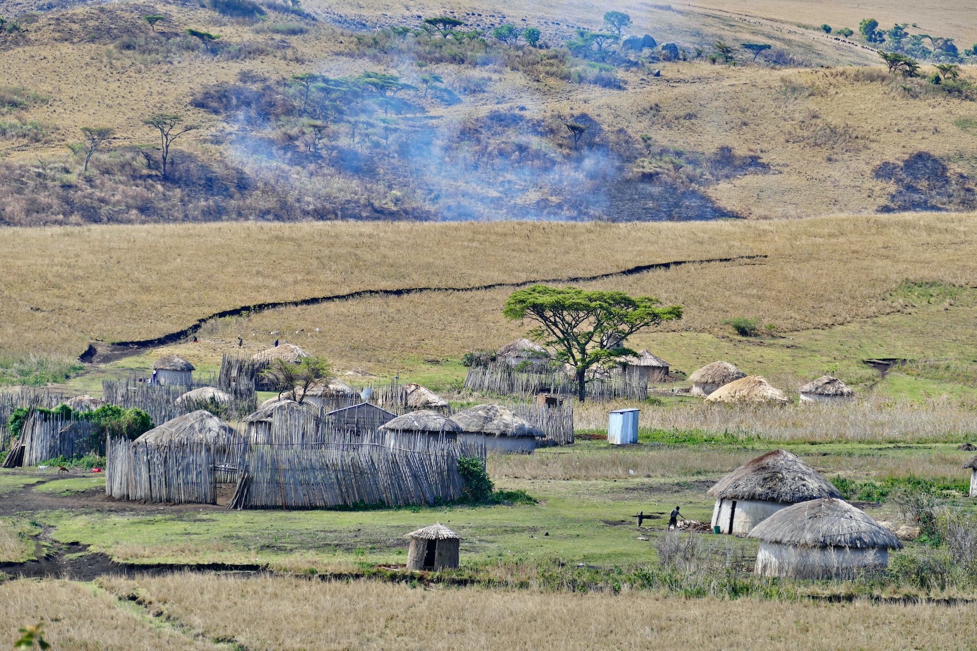 Maasai Village med World Adventure Tours