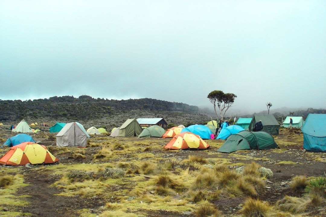 tents-kilimanjaro