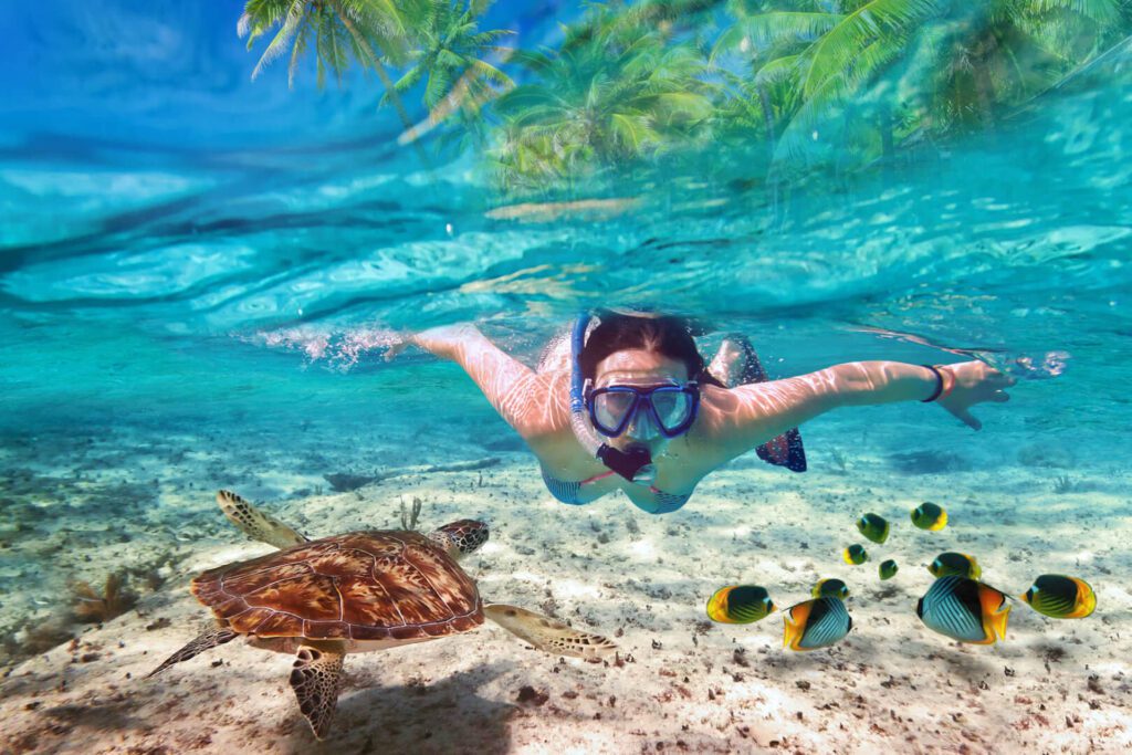Big 5 Safari Tanzania With Zanzibar Finale World Adventure Tours Big 5 Safari Tanzania With Zanzibar Finale World Adventure Tours