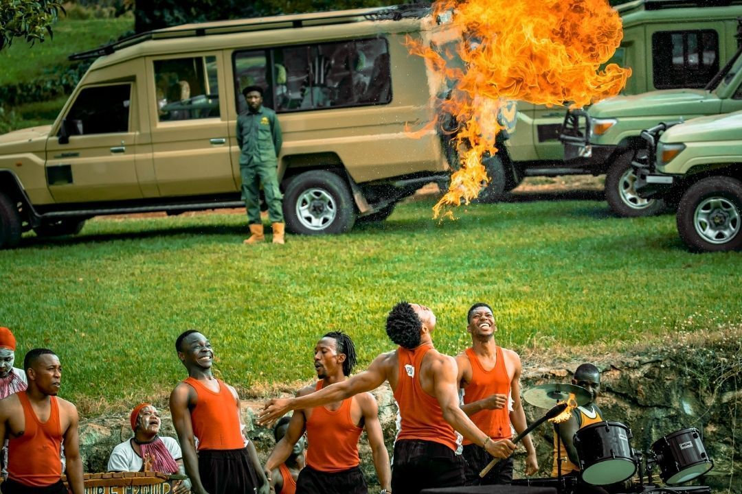 Buffalo in Queen Elizabeth National Park, Uganda