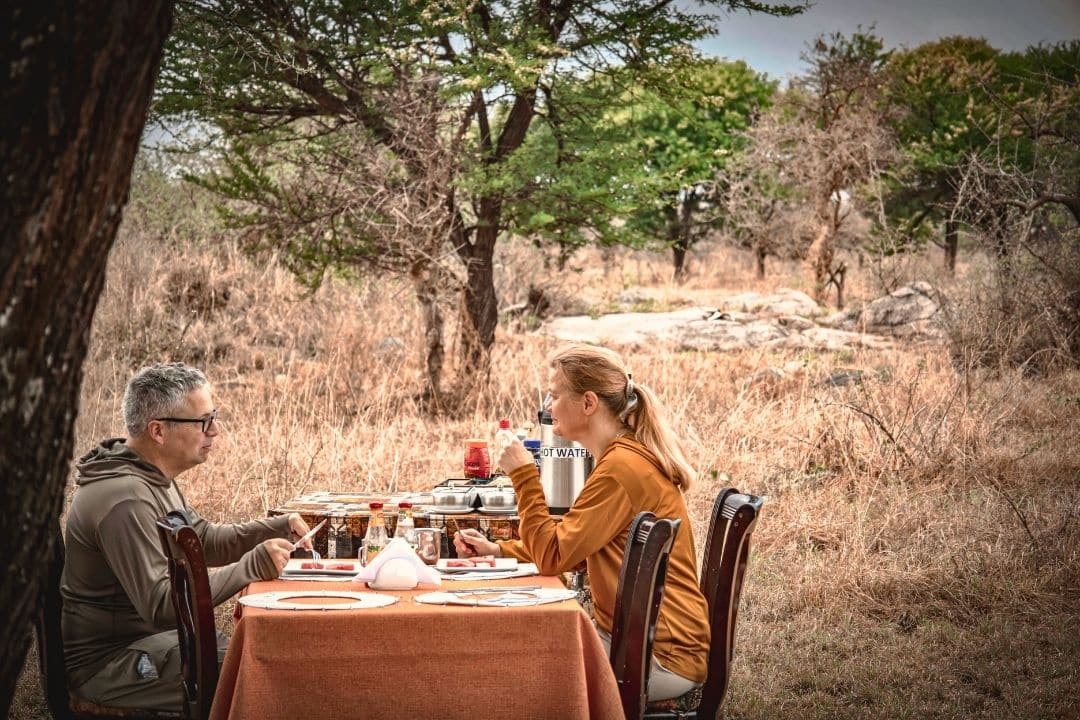 Buffalo in Queen Elizabeth National Park, Uganda
