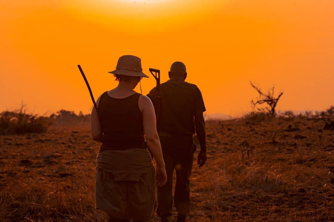 Buffalo in Queen Elizabeth National Park, Uganda