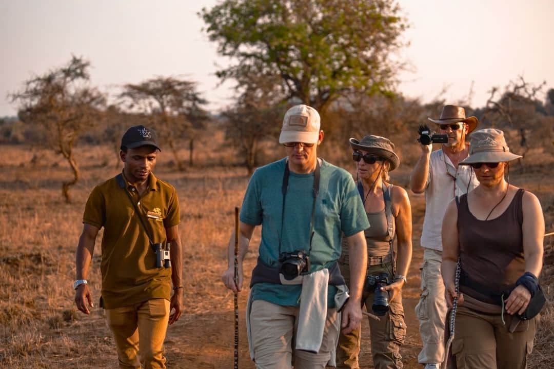 Buffalo in Queen Elizabeth National Park, Uganda