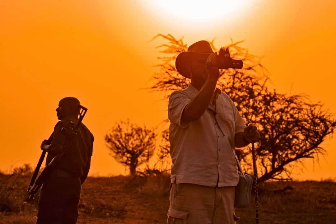 Buffalo in Queen Elizabeth National Park, Uganda