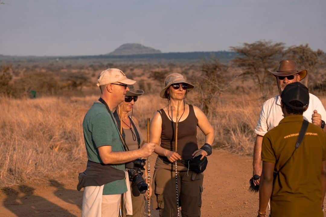 Buffalo in Queen Elizabeth National Park, Uganda