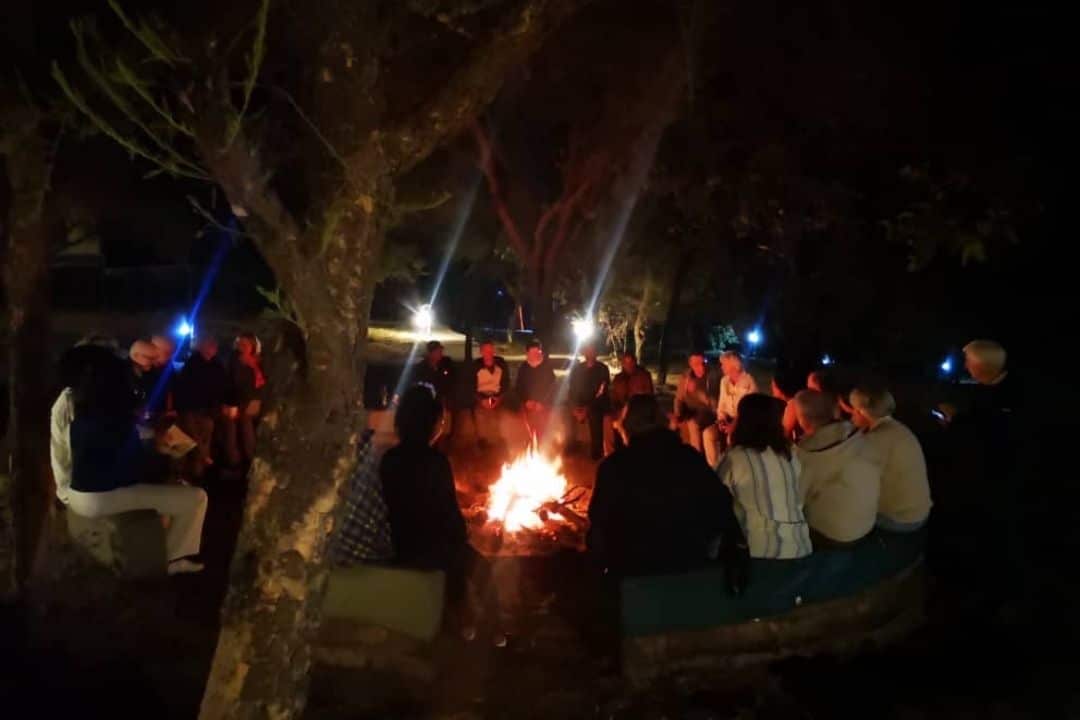 nature-rhino-waterfall