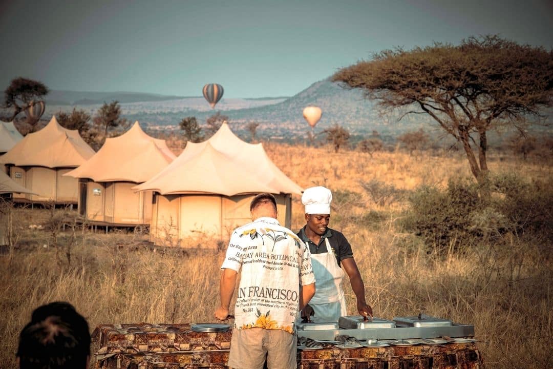 Buffalo in Queen Elizabeth National Park, Uganda