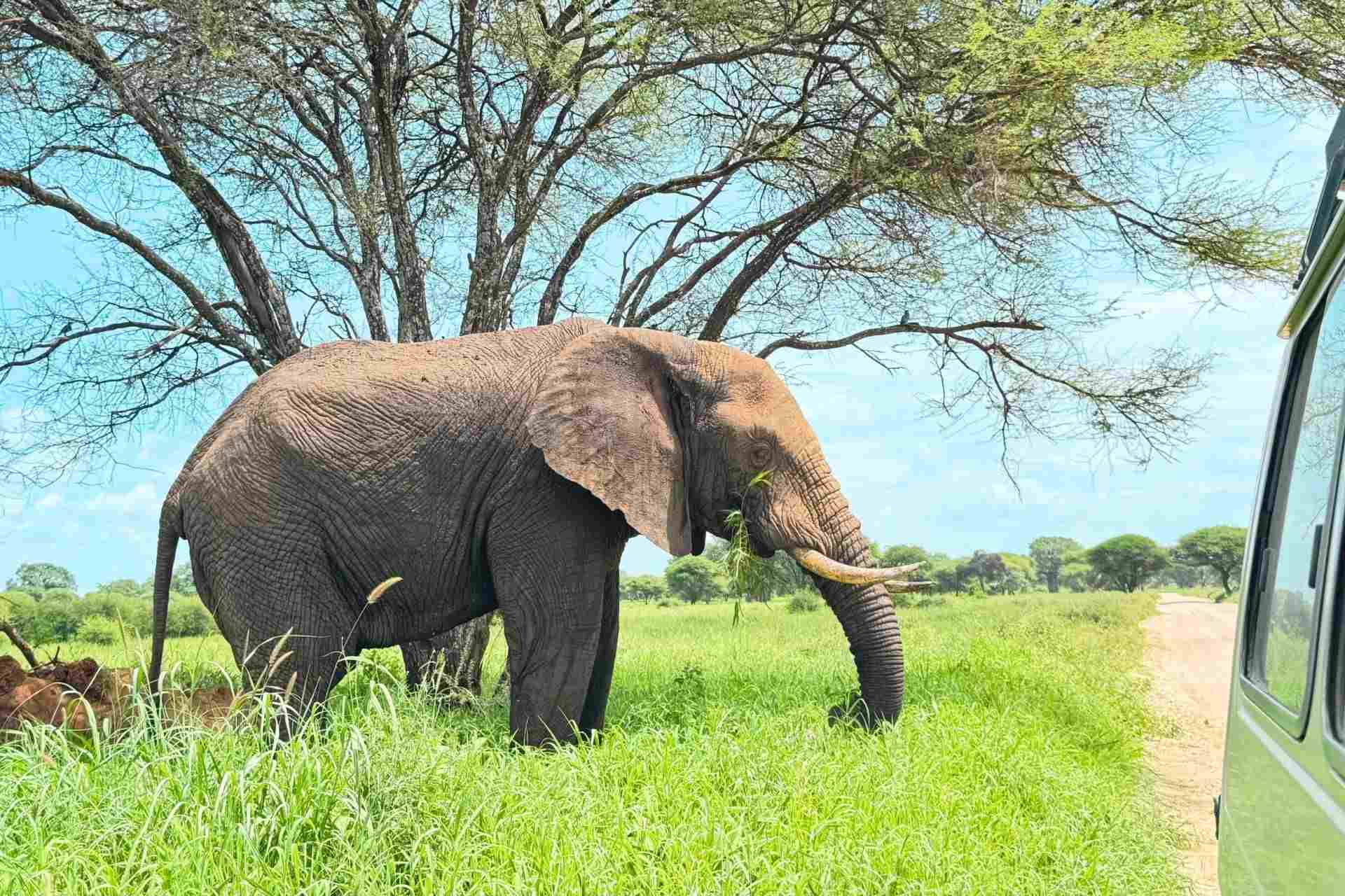 Travelers enjoying sunset views from Highview Hotel in Karatu, Tanzania