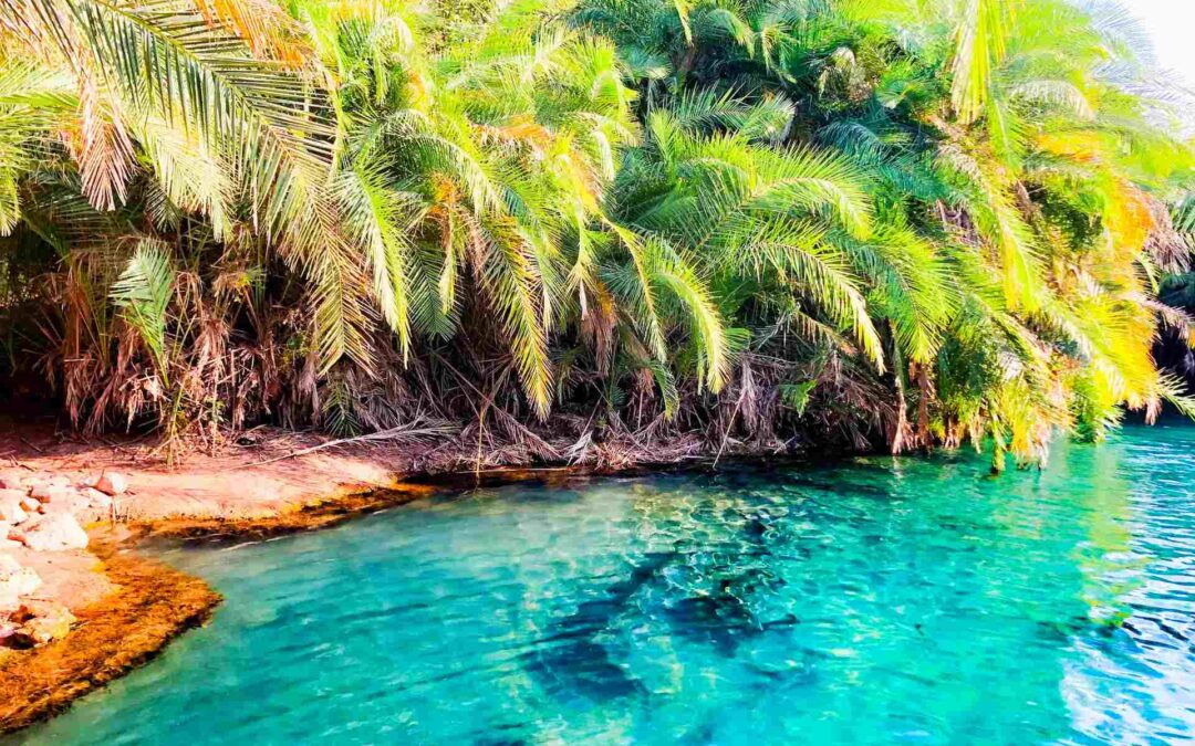 Chemka Hot Springs