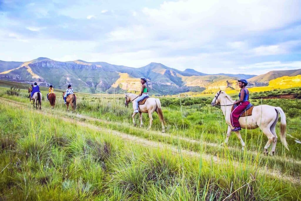 horse-riding-product