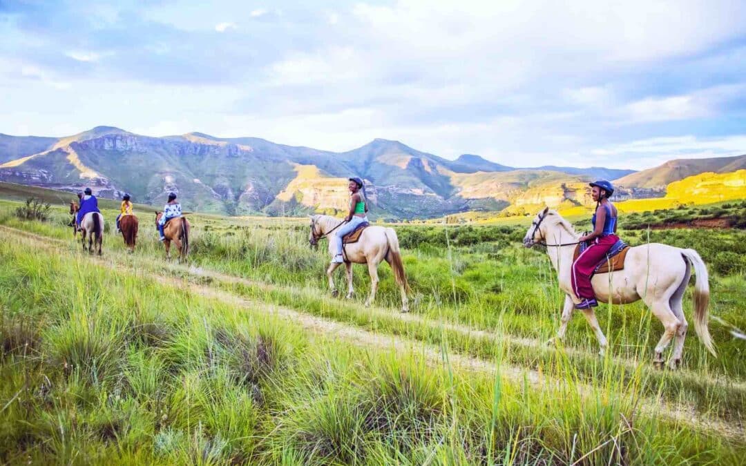 Horse Riding in Sanctuary Farm Naivasha