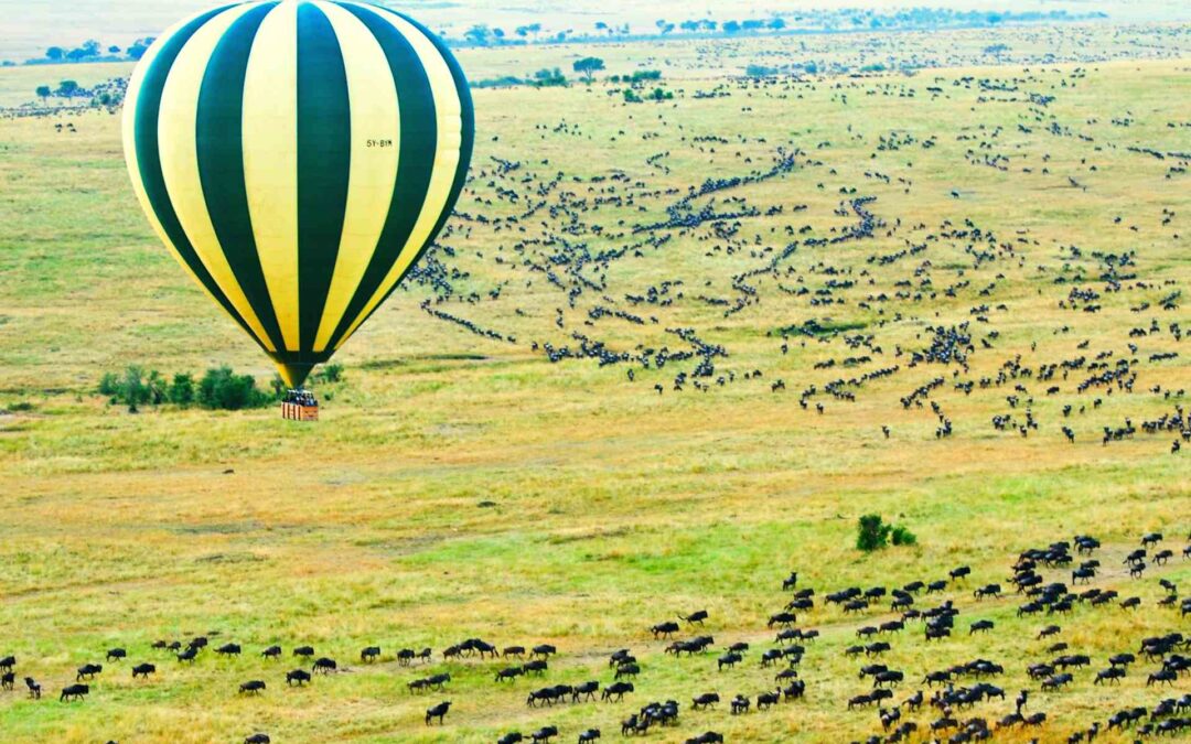 Maasai Mara Balloon Safari