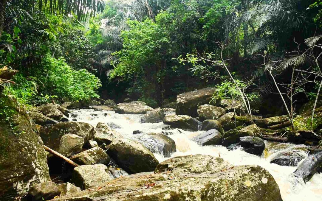 Marangu Waterfalls Tour