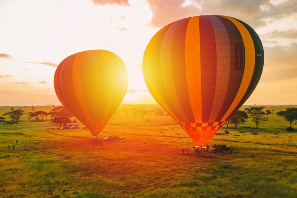 serengeti-balloon-product