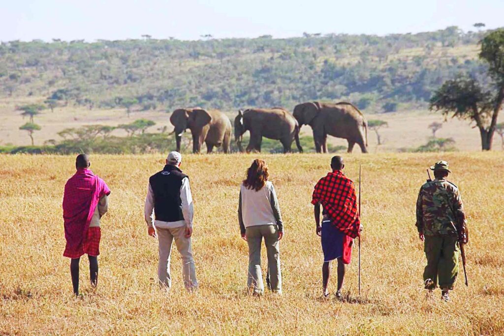 walking-safari-product