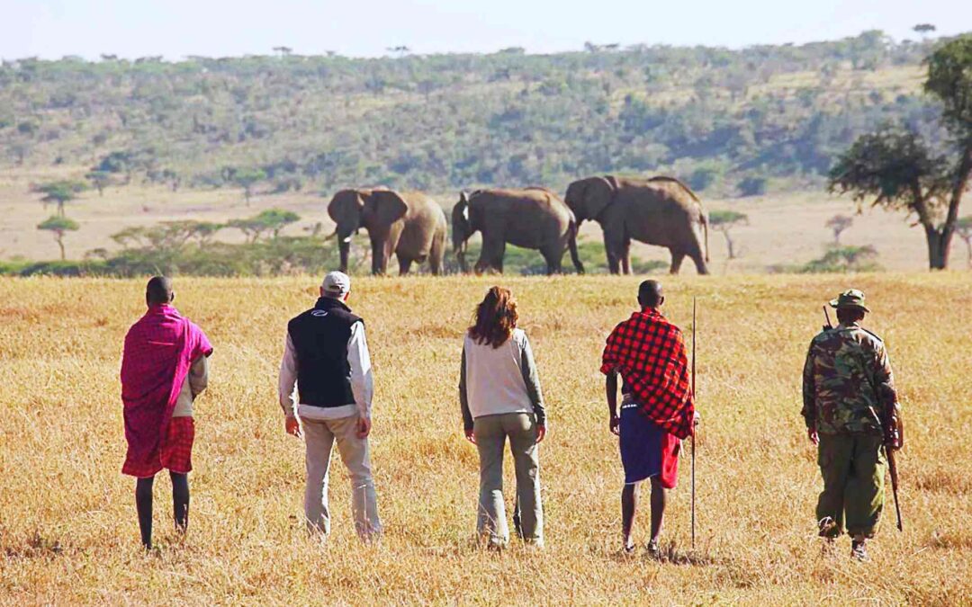 Walking Safari in Maasai Mara or Amboseli