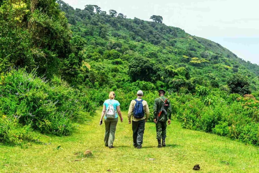 walking-safari-product
