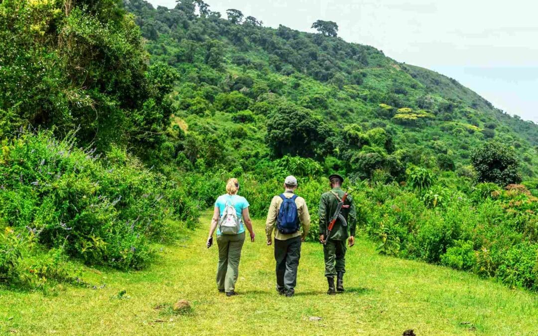 Walking Safari