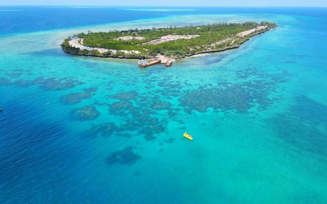 Submarine Reef & Beach Tour