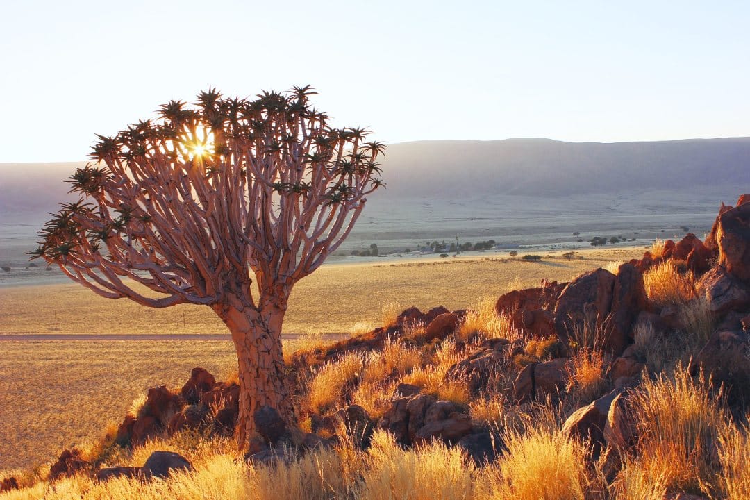kolmanskop-ghost-town