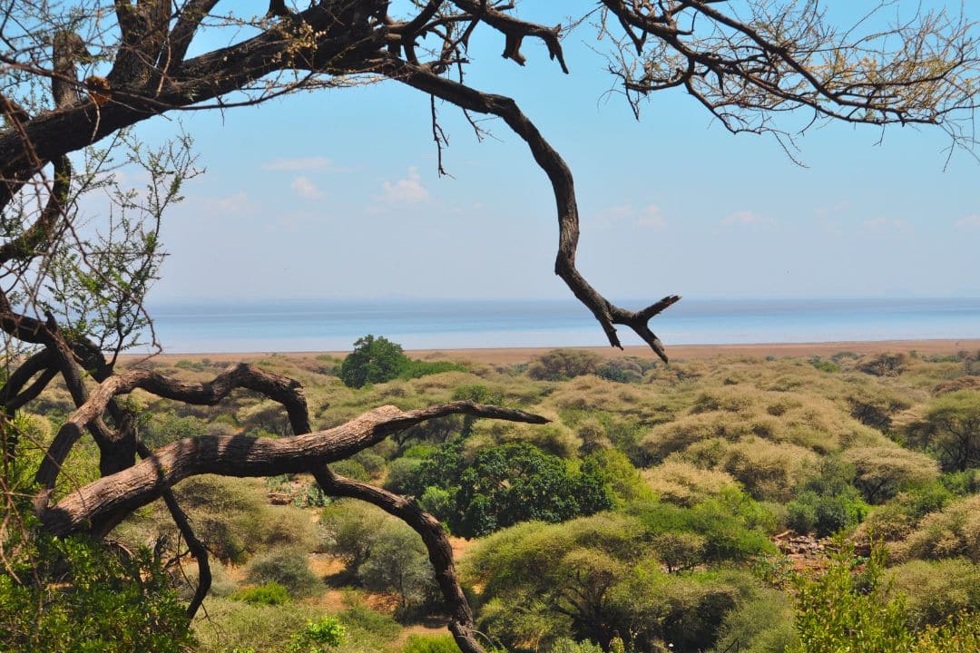 Lake Manyara