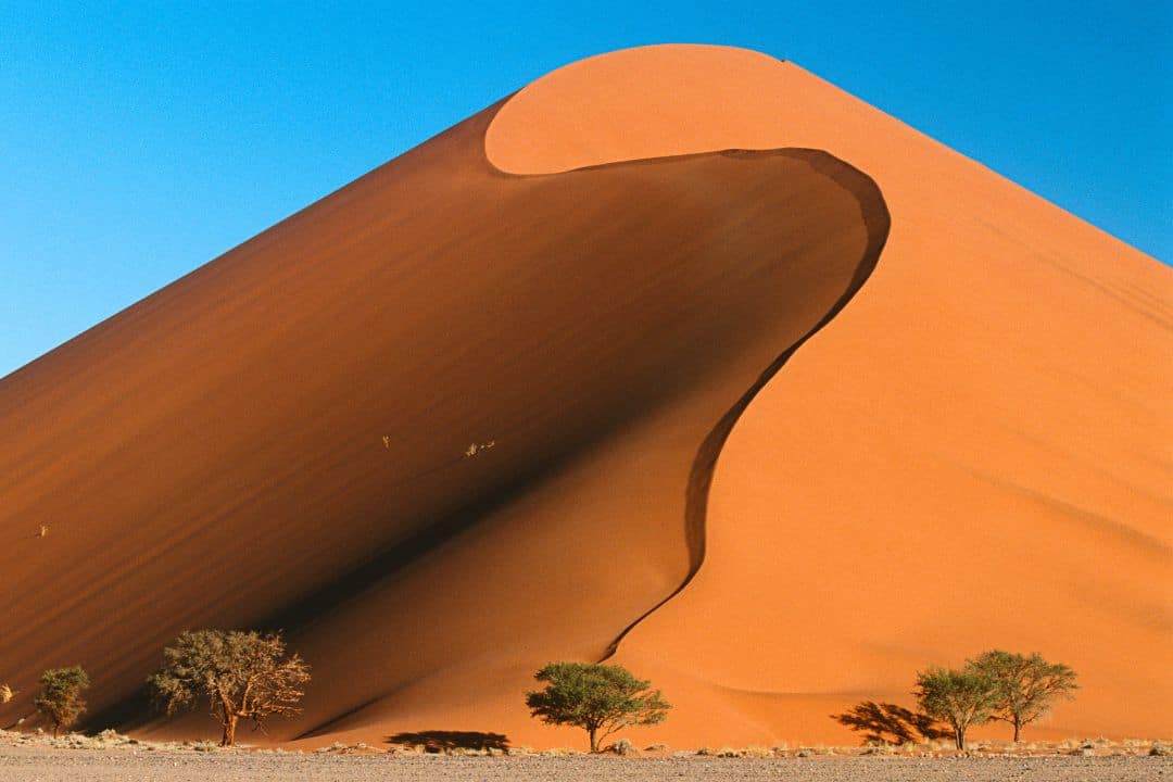 WAT inside Safari Vehicle for epic game drives