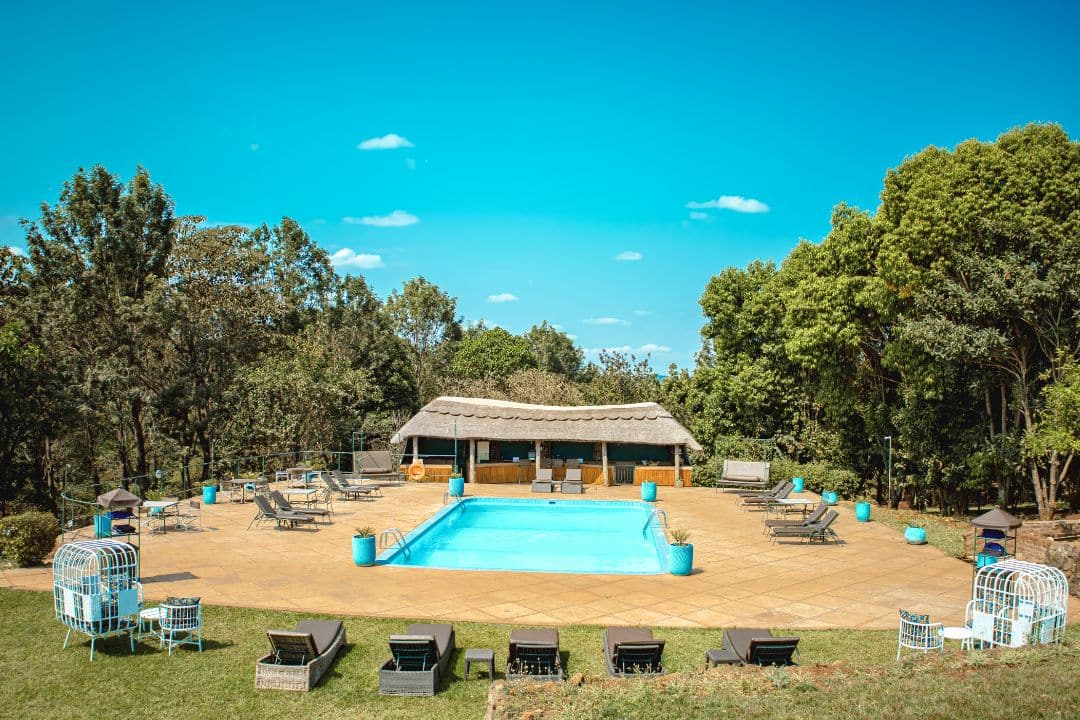 Springlands Hotel with World Adventure Tours