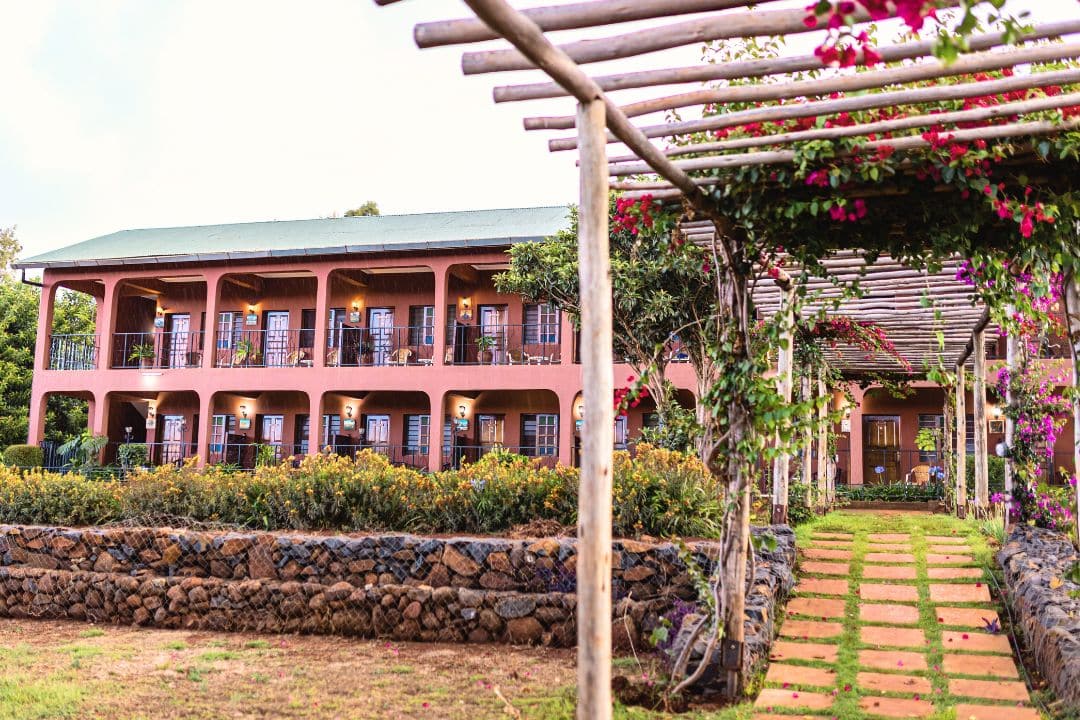 kizimkazi-dolphin-product