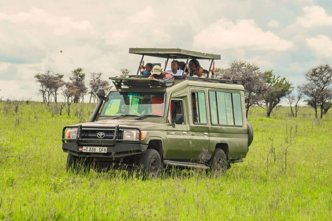 Herd of wildebeest grazing on the plains of Ngorongoro Crater in Tanzania