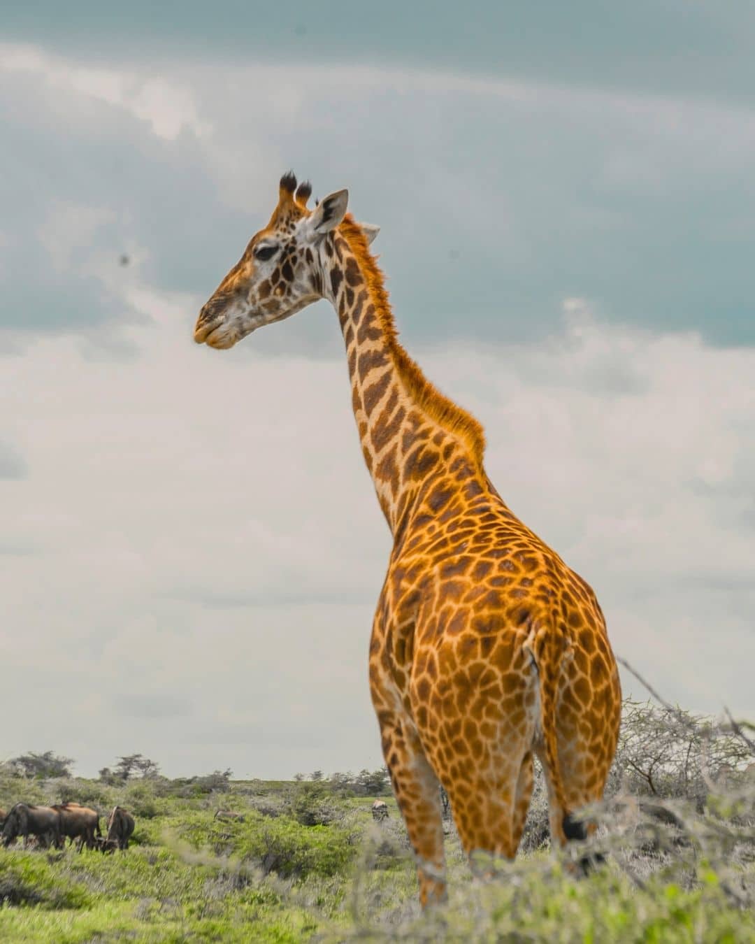 Sustainable tourism with World Adventure tours