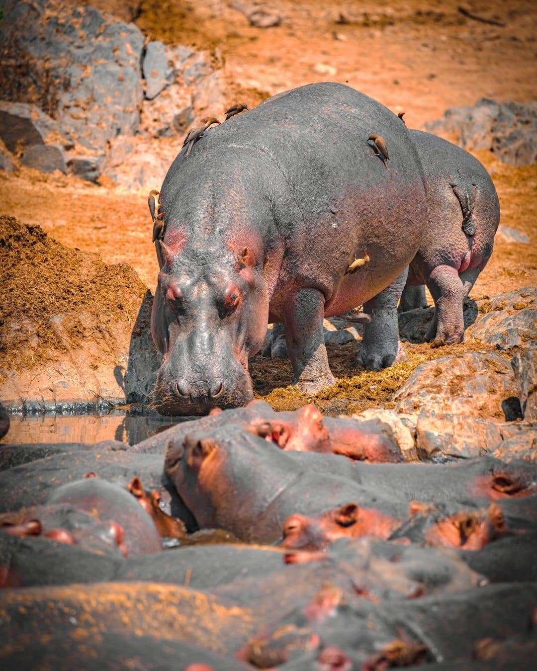 Sustainable tourism with World Adventure tours