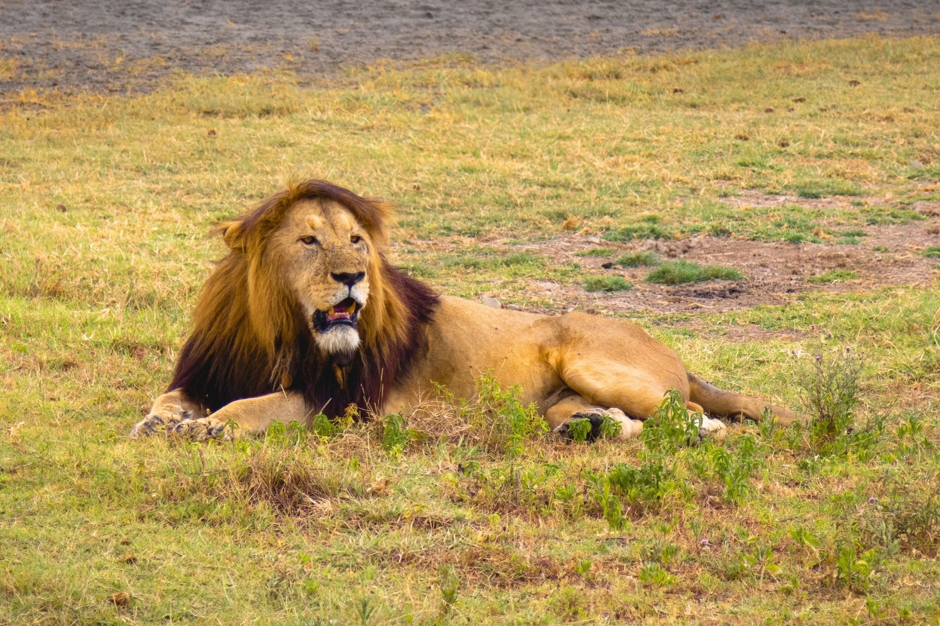 Travelers enjoying sunset views from Highview Hotel in Karatu, Tanzania