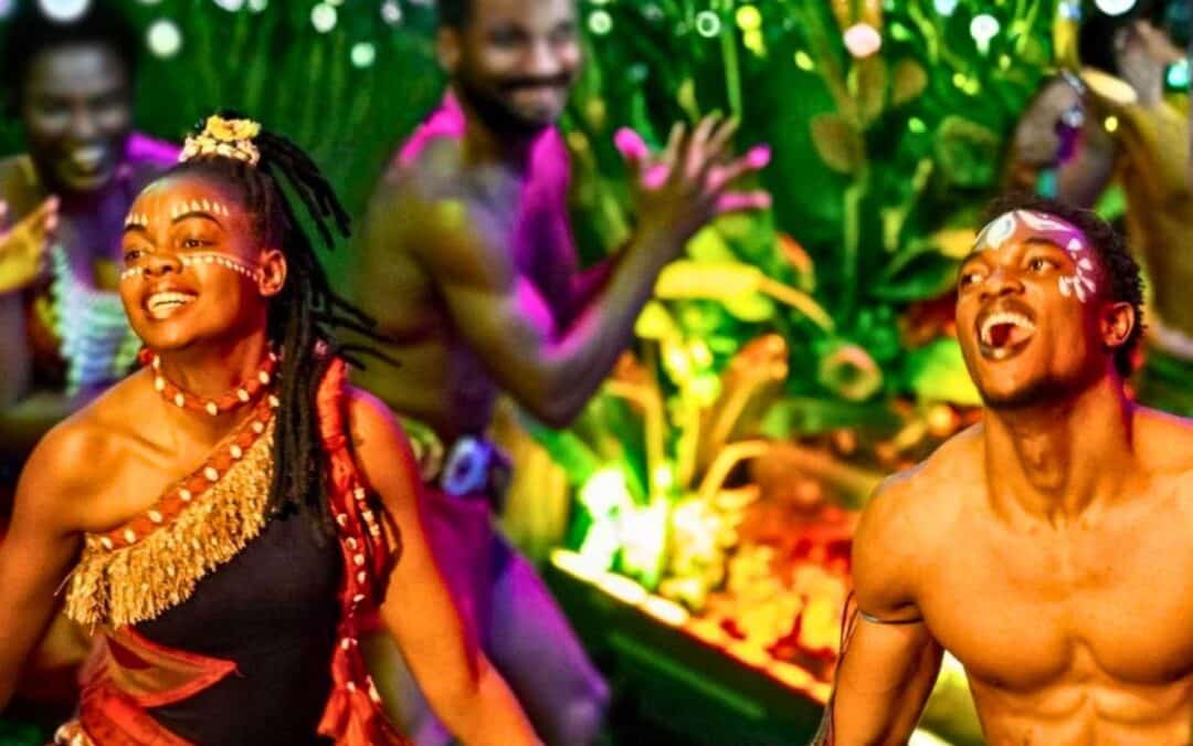 Simunye Afrikas ande – Live teaterupplevelse