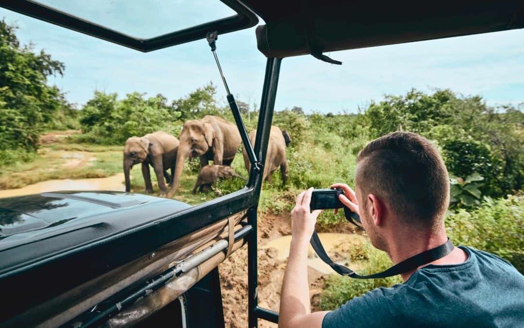 Zambezi nationalparks viltsafari