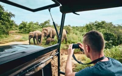 Zambezi National Park Game Drive