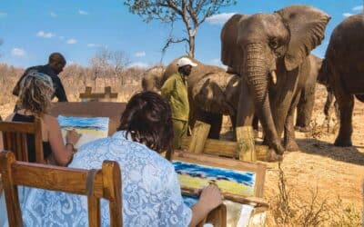 Elephant Art Safari – Victoria Falls
